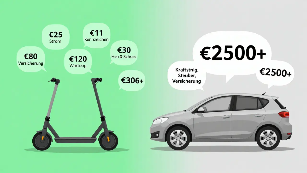 Vergleich: Ein 50er Roller mit jährlichen Kosten von 306 € gegenüber einem Auto mit über 2500 €.