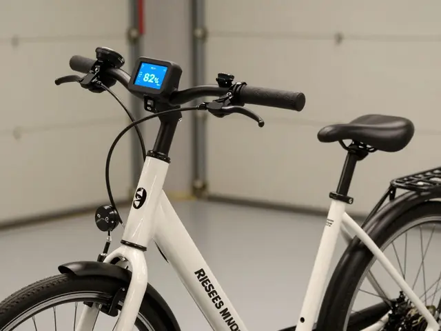 Was ist ein E-Bike nach 3 Jahren noch wert? So viel bleibt vom Kaufpreis übrig