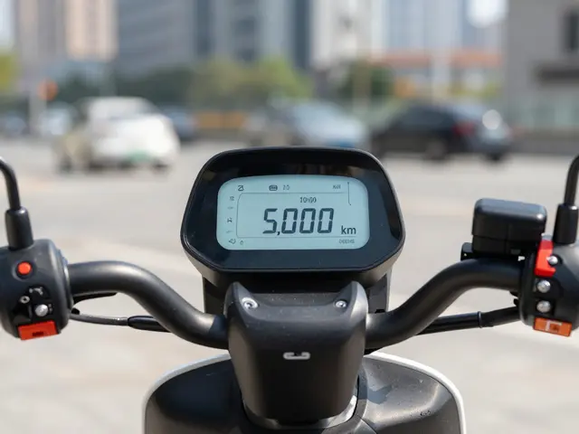 Gebrauchte Elektroroller: Wie viele Kilometer sind zu viel?